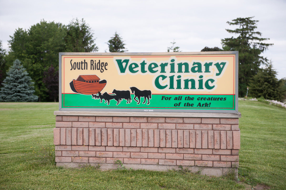 South Ridge Veterinary Clinic - CK Vets