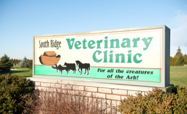 South Ridge Veterinary Clinic